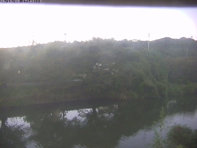取得できませんでした