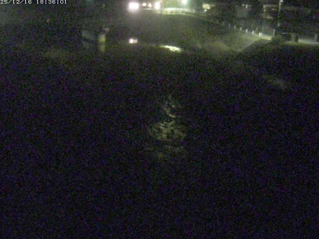 取得できませんでした