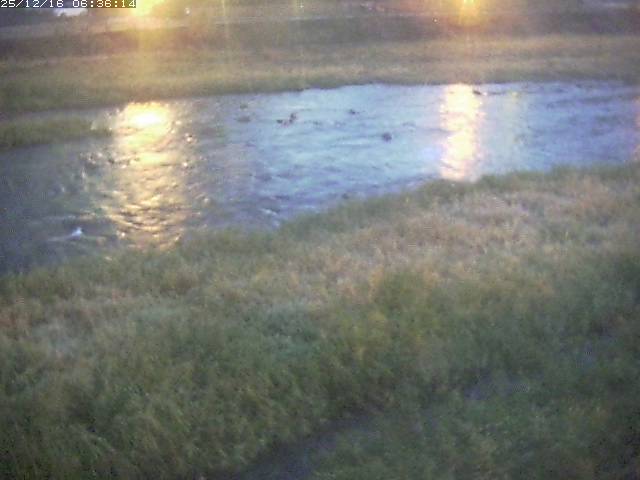 取得できませんでした