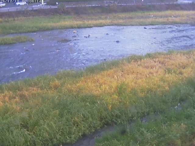 取得できませんでした