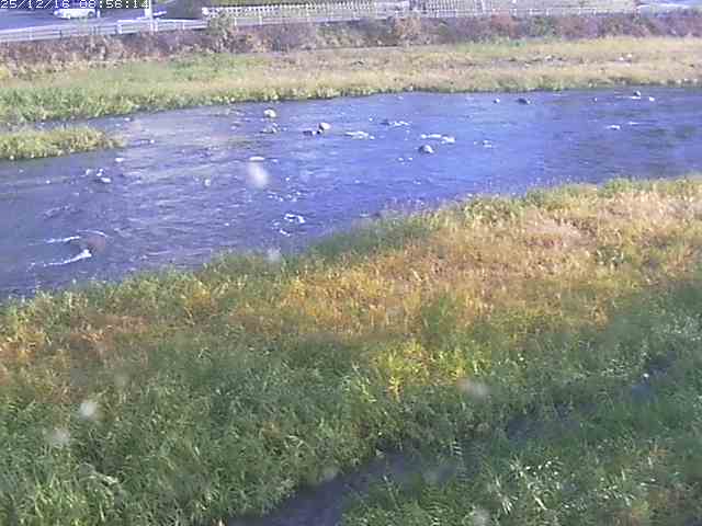 取得できませんでした