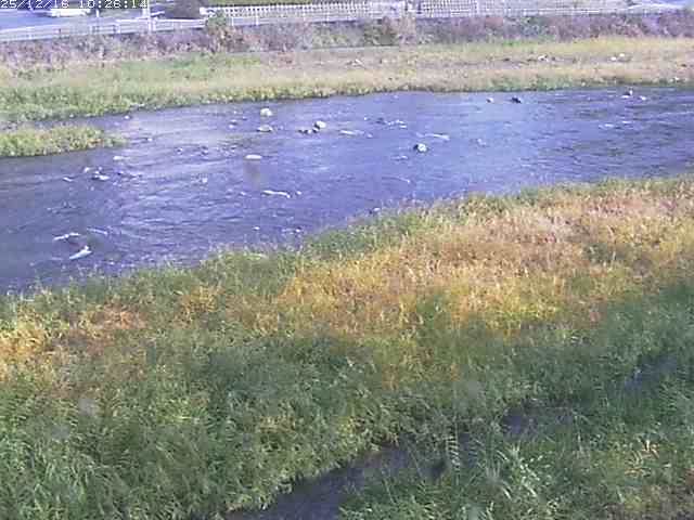 取得できませんでした