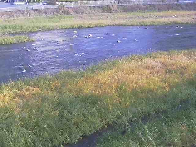 取得できませんでした