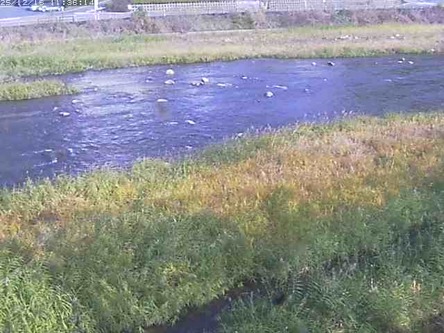 取得できませんでした