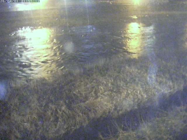 取得できませんでした