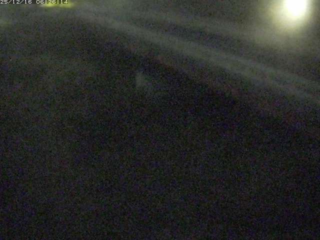 取得できませんでした