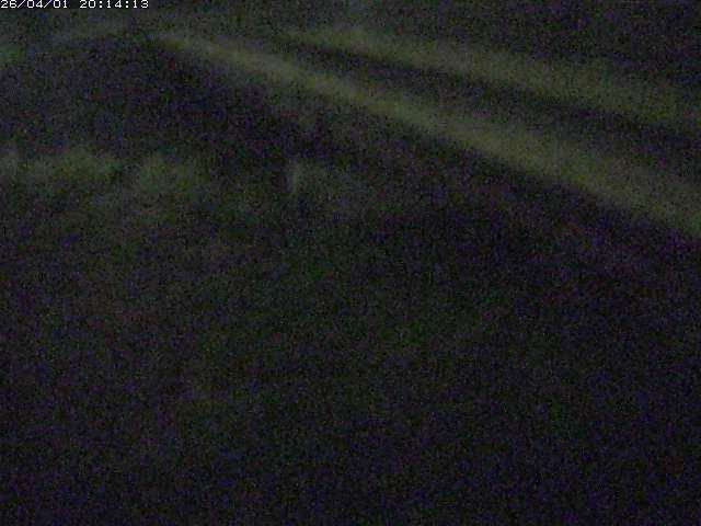 取得できませんでした