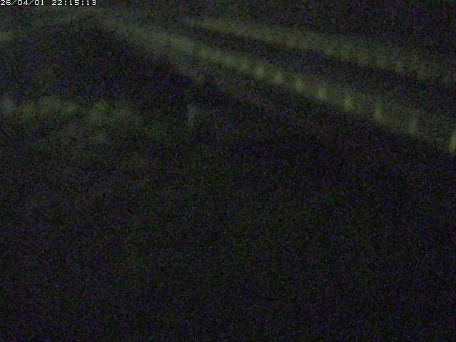 取得できませんでした