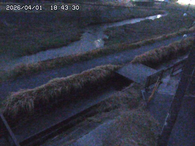 取得できませんでした