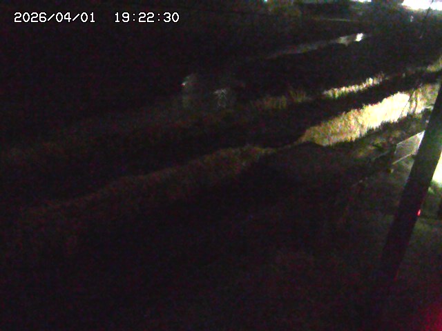 取得できませんでした