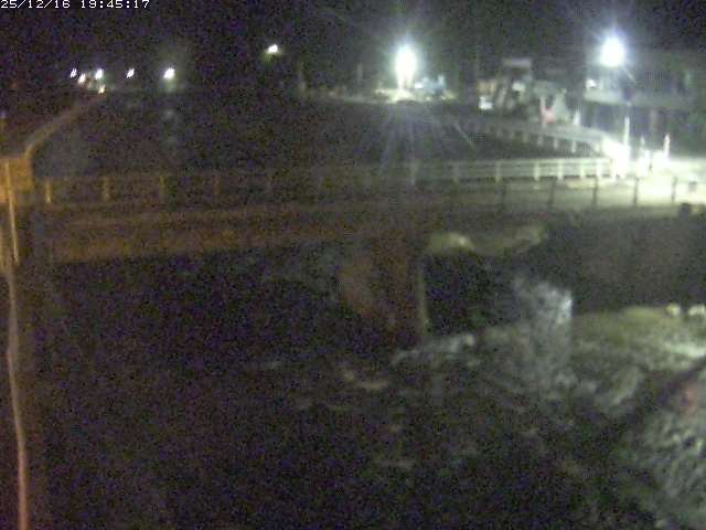 取得できませんでした