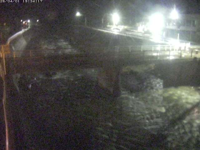 取得できませんでした