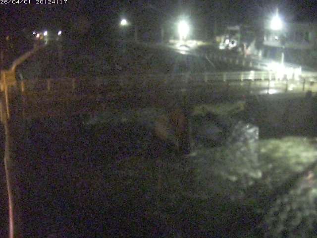 取得できませんでした