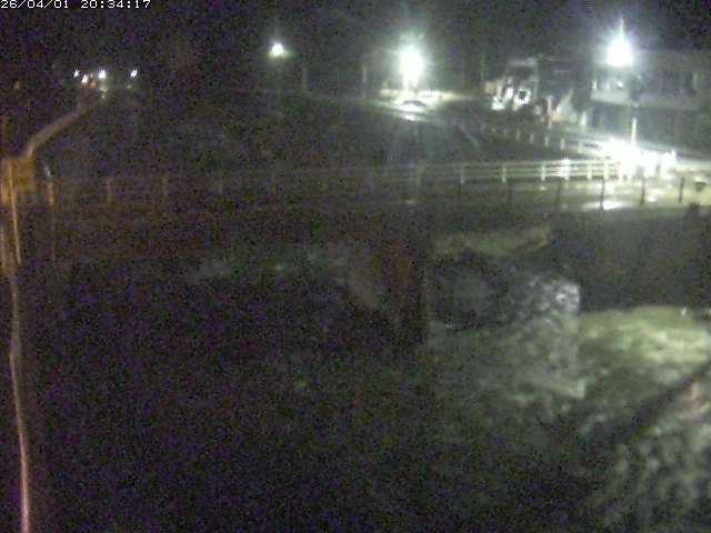 取得できませんでした