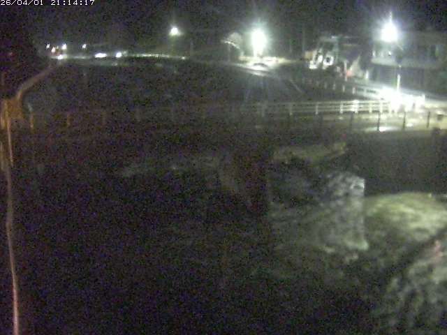 取得できませんでした