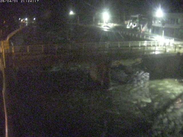 取得できませんでした