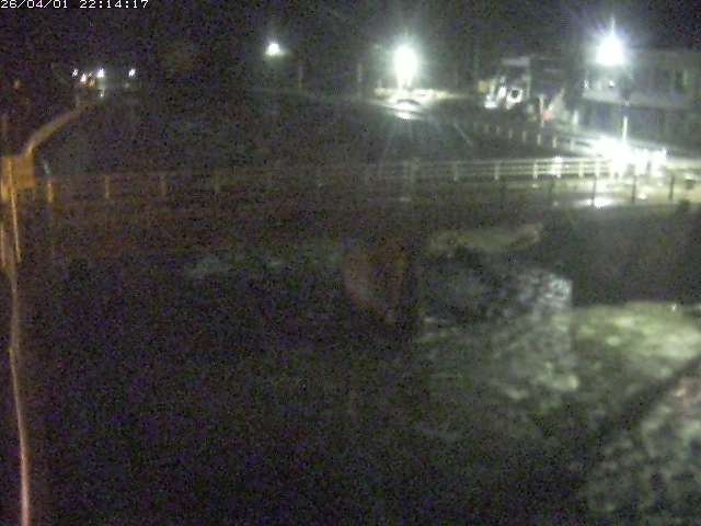 取得できませんでした