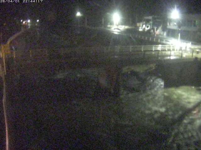 取得できませんでした