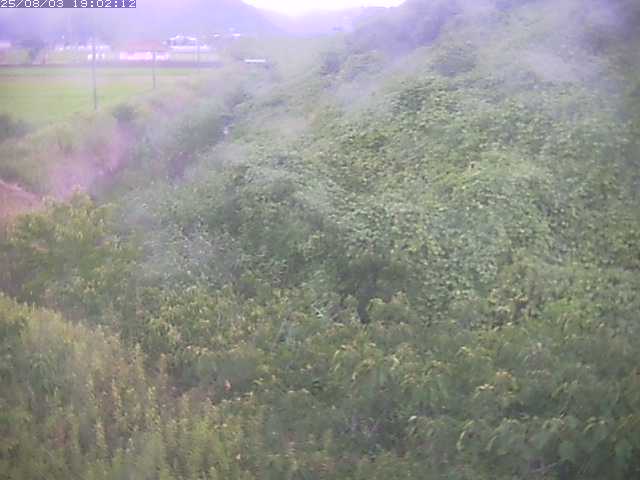 取得できませんでした