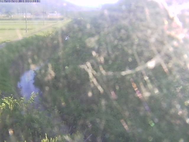 取得できませんでした