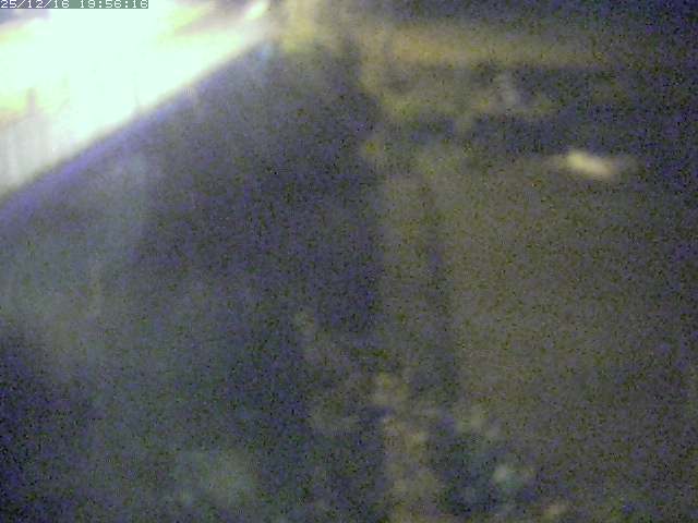 取得できませんでした