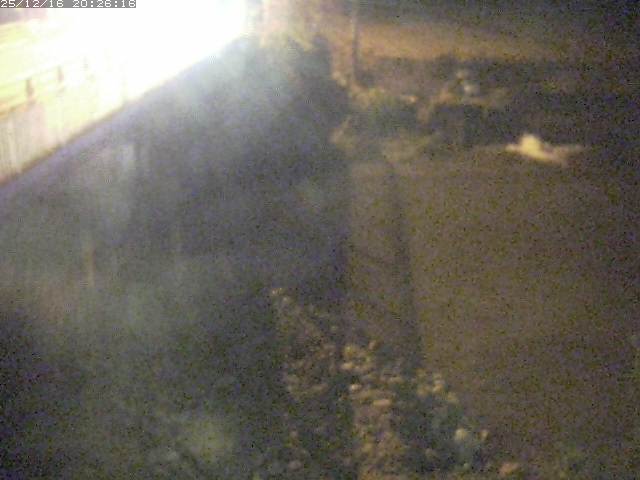 取得できませんでした