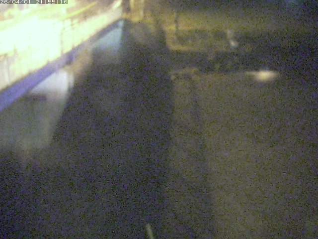 取得できませんでした