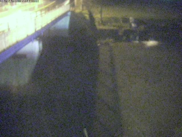 取得できませんでした