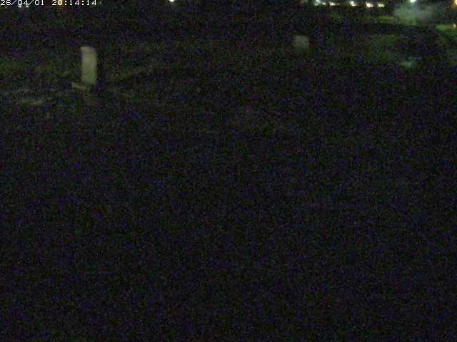 取得できませんでした