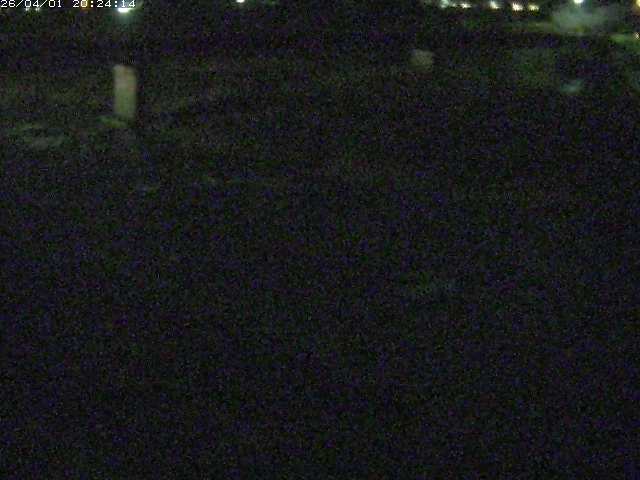 取得できませんでした