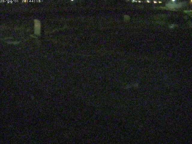 取得できませんでした