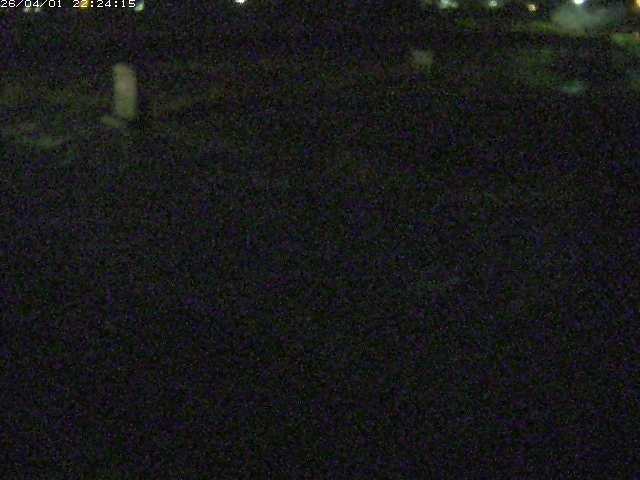 取得できませんでした