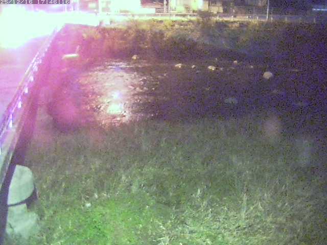 取得できませんでした