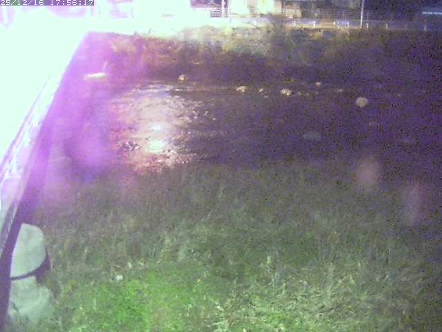 取得できませんでした