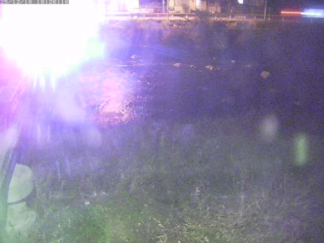 取得できませんでした