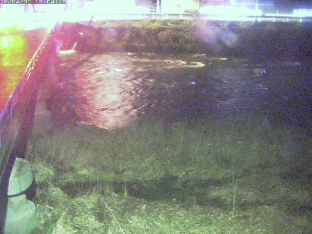 取得できませんでした