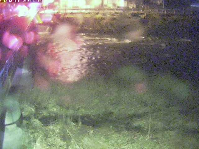 取得できませんでした