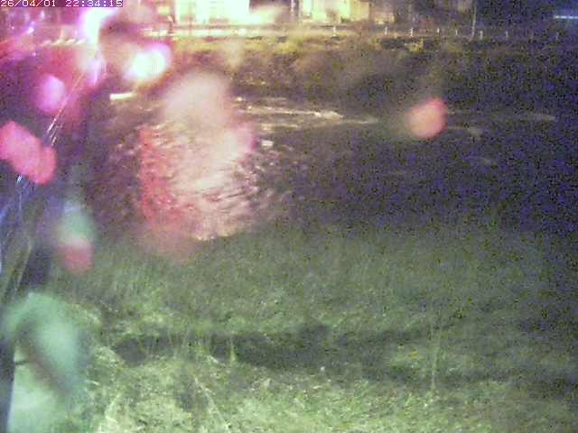 取得できませんでした