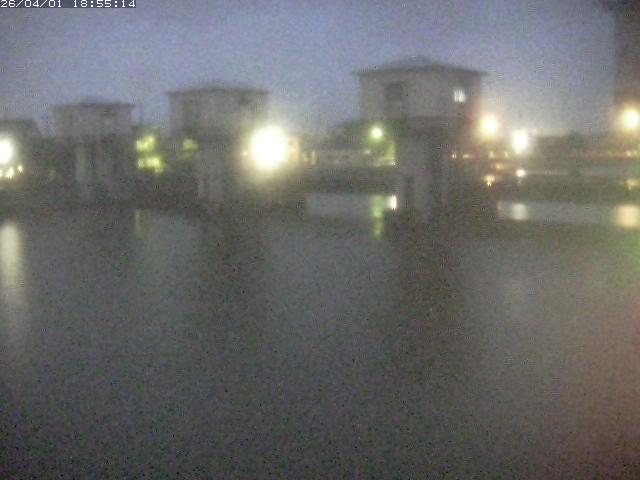 取得できませんでした