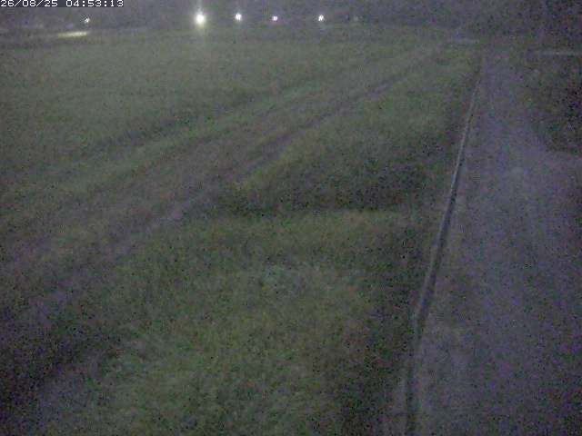 取得できませんでした