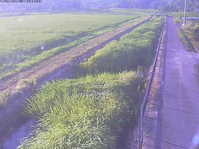 取得できませんでした