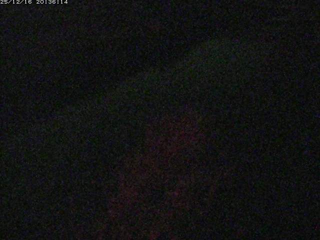 取得できませんでした