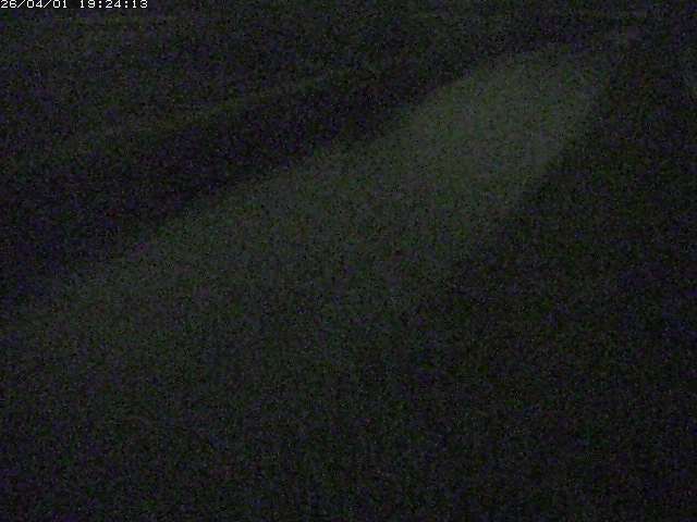 取得できませんでした