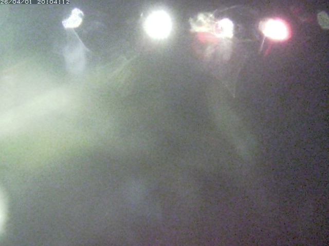 取得できませんでした