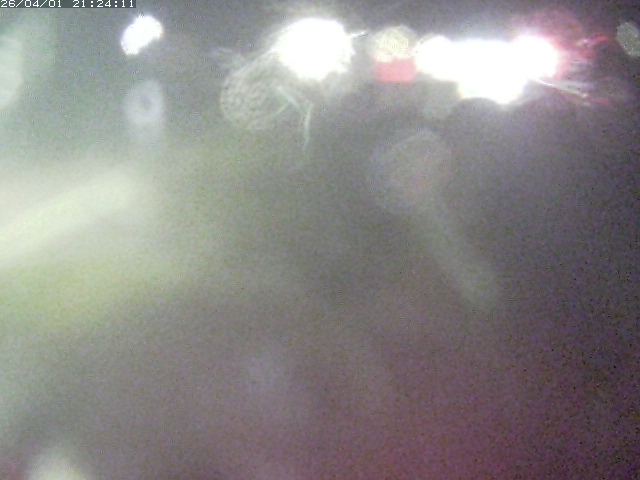 取得できませんでした