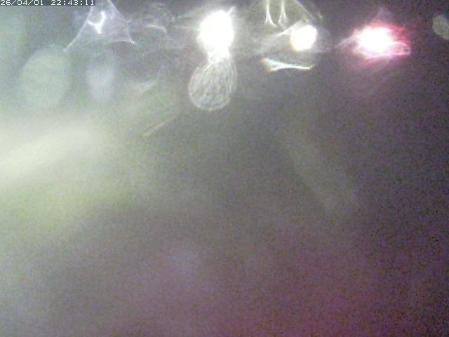 取得できませんでした