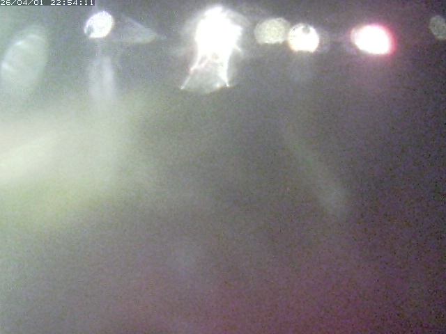 取得できませんでした