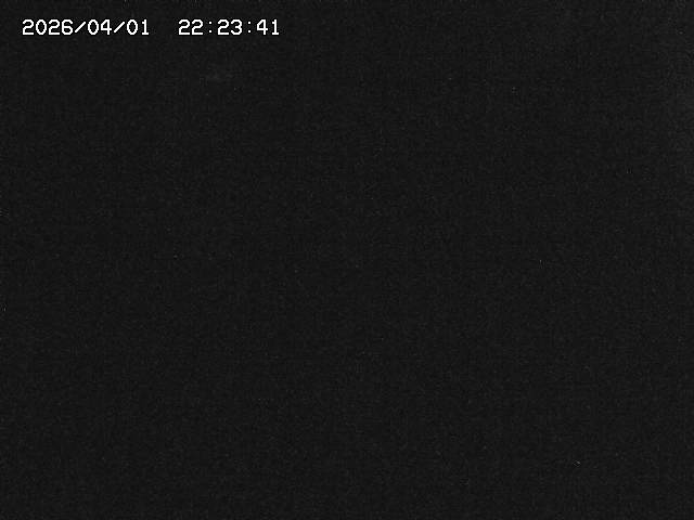 取得できませんでした