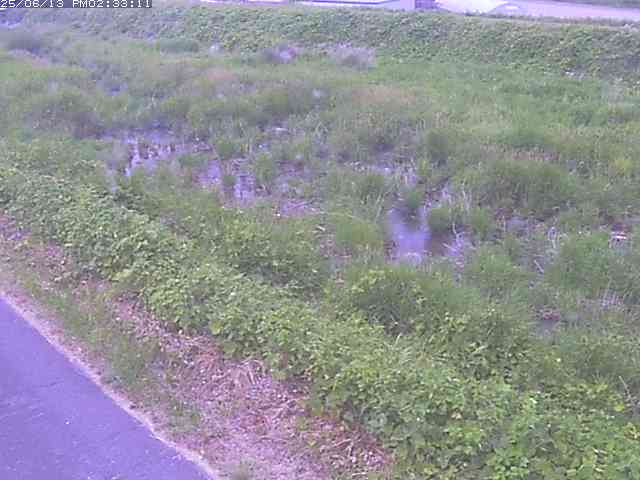 取得できませんでした