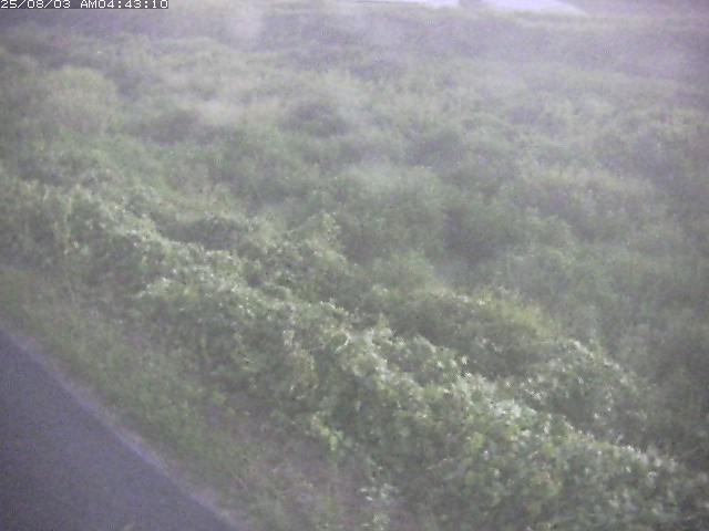 取得できませんでした